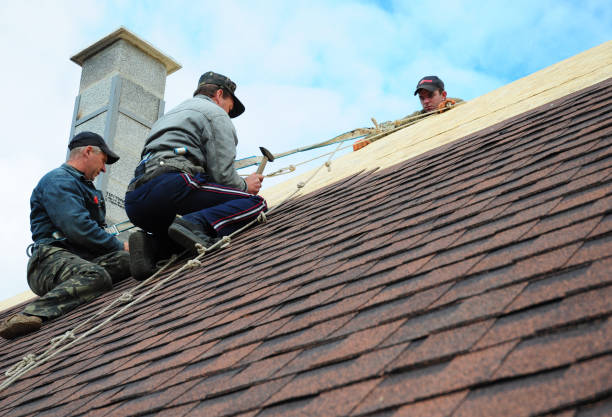 Best Roof Gutter Cleaning  in Wayne City, IL