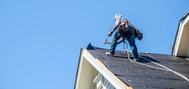 Professional Roofing Contractor in Wayne City, IL